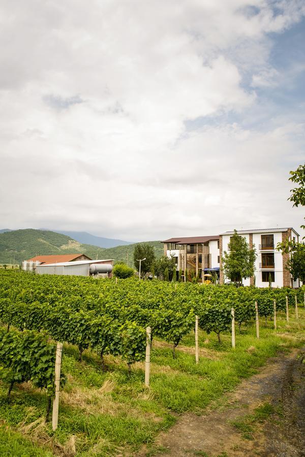 Shaloshvili'S Cellar Hotel Shilda Exterior foto
